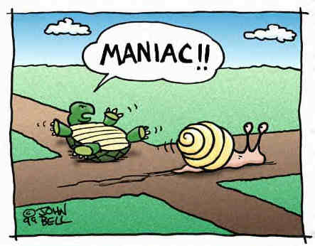 turtle_snail.jpg
